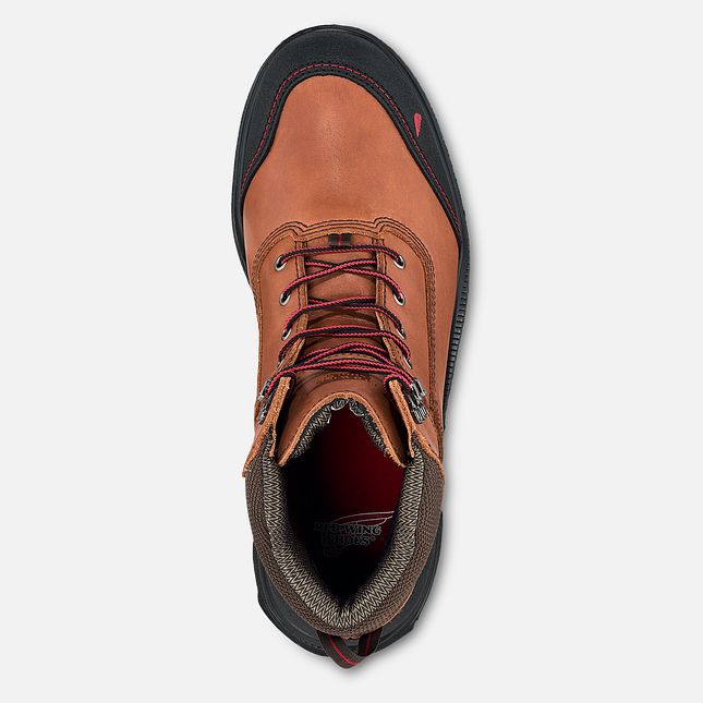 Red Wing Brnr Xp 6-inch Vanntette Arbeidsstøvler Herre Brune | 7563-AOXMT