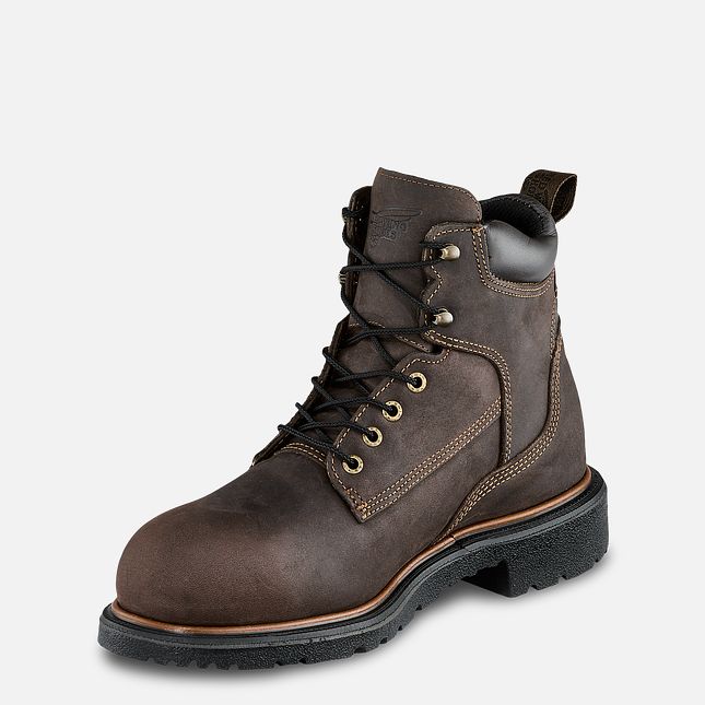 Red Wing Dynaforce® 6-inch Insulated, Vanntette Arbeidsstøvler Herre Brune | 0514-IPQFL