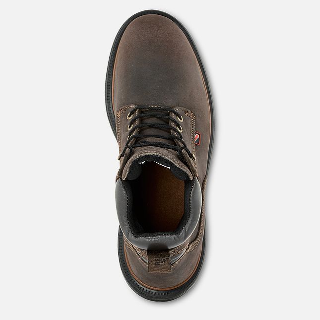 Red Wing Dynaforce® 6-inch Insulated, Vanntette Arbeidsstøvler Herre Brune | 0514-IPQFL