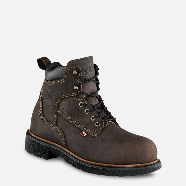 Red Wing Dynaforce® 6-inch Insulated, Vanntette Arbeidsstøvler Herre Brune | 3097-QWOTR