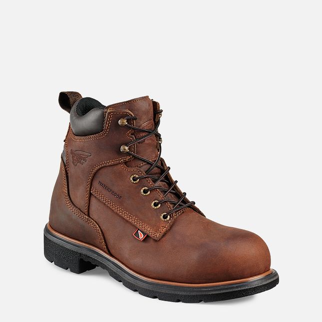 Red Wing Dynaforce® 6-inch Vanntette Arbeidsstøvler Herre Brune | 2410-FUZAO