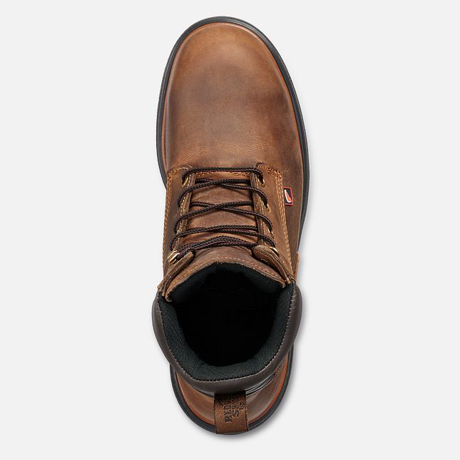 Red Wing Dynaforce® 8-inch Arbeidsstøvler Herre Brune | 4786-RUMZY