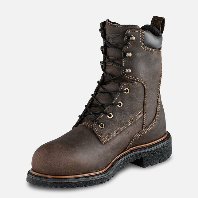 Red Wing Dynaforce® 8-inch Insulated, Vanntette Vernesko Herre Brune | 6412-RUIMS