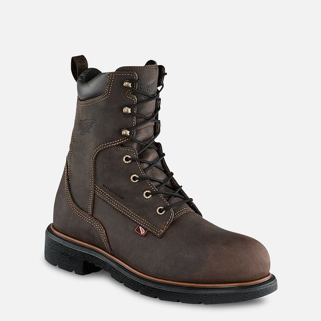 Red Wing Dynaforce® 8-inch Insulated, Vanntette Vernesko Herre Brune | 6412-RUIMS