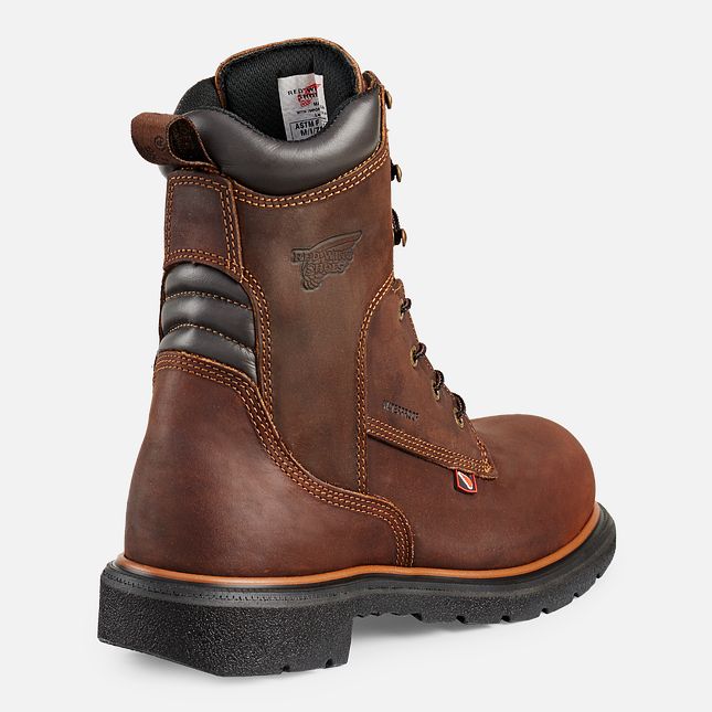 Red Wing Dynaforce® 8-inch Vanntette Arbeidsstøvler Herre Brune | 1536-VWNAE