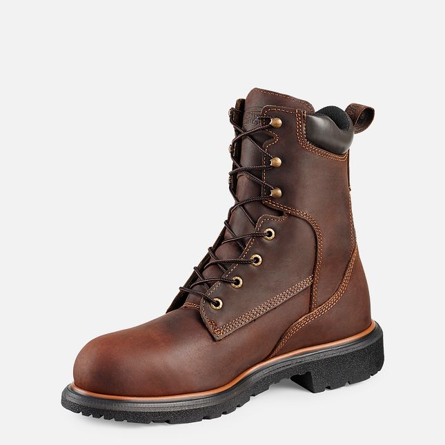 Red Wing Dynaforce® 8-inch Vanntette Arbeidsstøvler Herre Brune | 1536-VWNAE