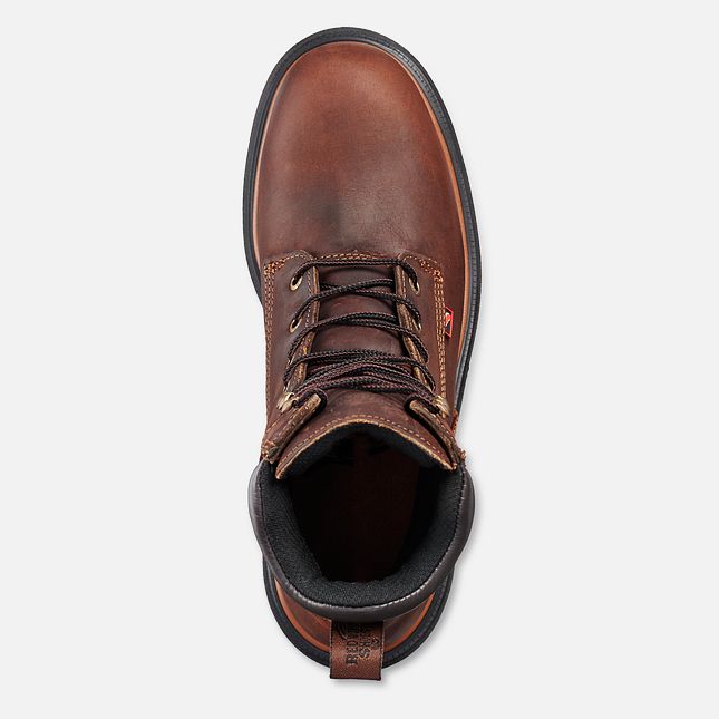 Red Wing Dynaforce® 8-inch Vanntette Arbeidsstøvler Herre Brune | 1536-VWNAE