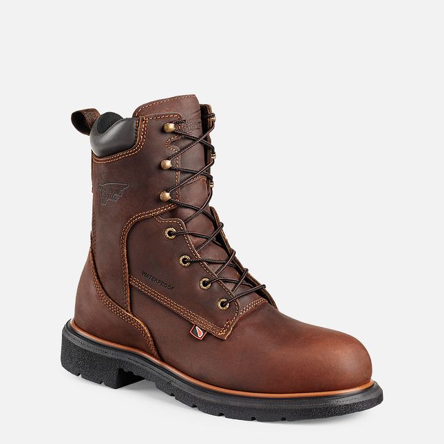 Red Wing Dynaforce® 8-inch Vanntette Arbeidsstøvler Herre Brune | 4609-KMIOJ