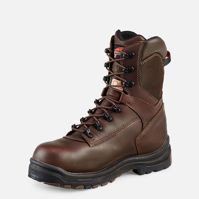 Red Wing King Tå® 8-inch Insulated, Vanntette CSA Arbeidssko Herre Brune | 8405-FXBSQ