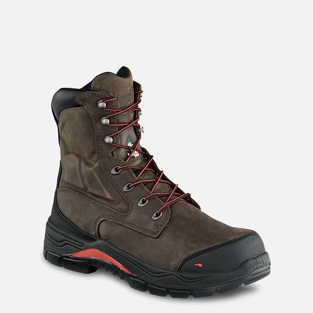 Red Wing King Tå® Adc 8-inch CSA Metguard Vanntette Sko Herre Brune | 5986-RHXJI