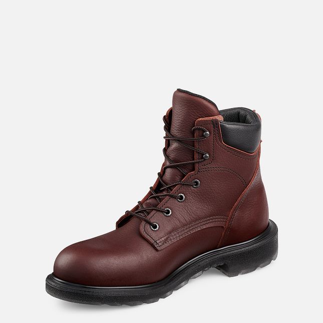 Red Wing Supersole® 2.0 6-inch Arbeidsstøvler Herre Brune | 3056-HIOLA