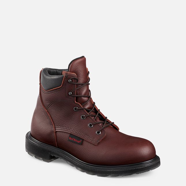 Red Wing Supersole® 2.0 6-inch Arbeidsstøvler Herre Brune | 3056-HIOLA