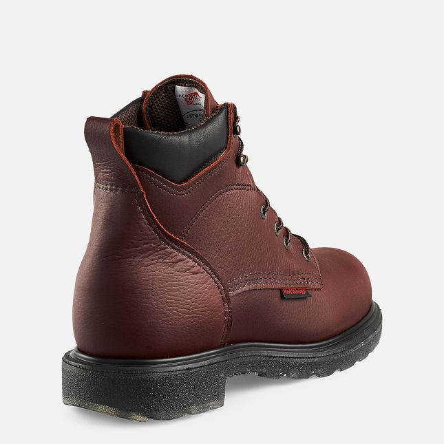 Red Wing Supersole® 2.0 6-inch Vanntette Arbeidsstøvler Herre Brune | 1246-VUPMH