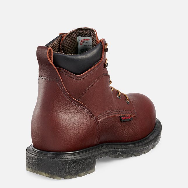 Red Wing Supersole® 2.0 6-inch Vanntette CSA Arbeidssko Herre Brune | 2970-ZSGOC