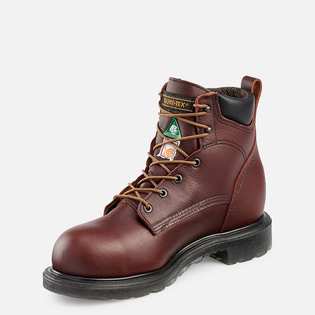 Red Wing Supersole® 2.0 6-inch Vanntette CSA Arbeidssko Herre Brune | 2970-ZSGOC