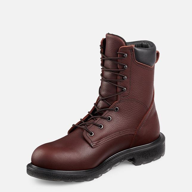 Red Wing Supersole® 2.0 8-inch Arbeidsstøvler Herre Brune | 3476-JLPHO