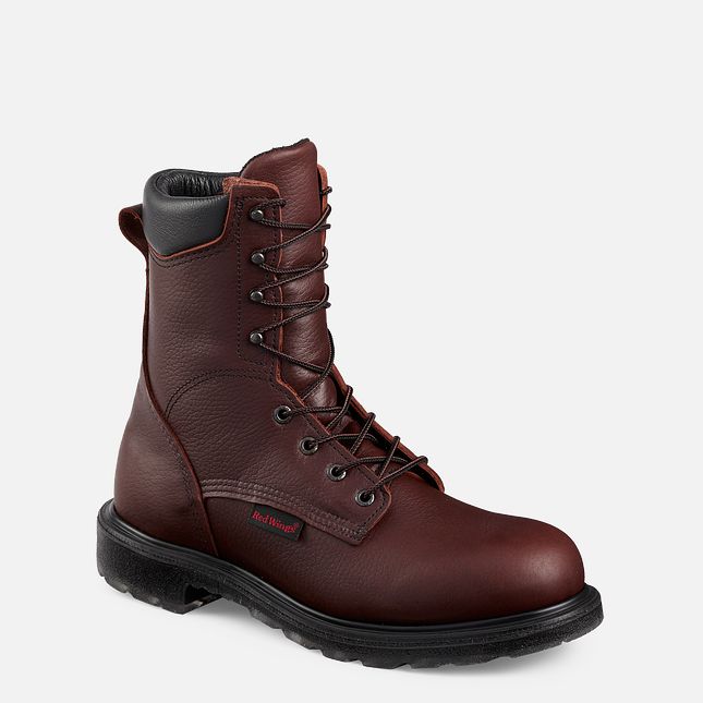 Red Wing Supersole® 2.0 8-inch Arbeidsstøvler Herre Brune | 3618-WYZPL