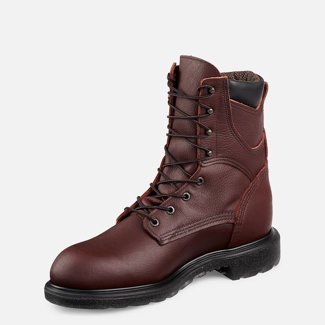 Red Wing Supersole® 2.0 8-inch Insulated, Vanntette Arbeidsstøvler Herre Brune | 1365-HTMJR