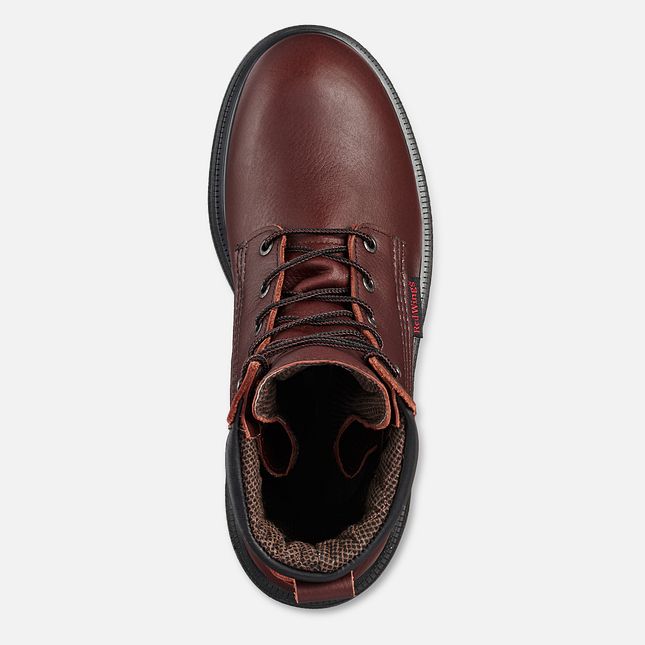 Red Wing Supersole® 2.0 8-inch Insulated, Vanntette Arbeidsstøvler Herre Brune | 1365-HTMJR