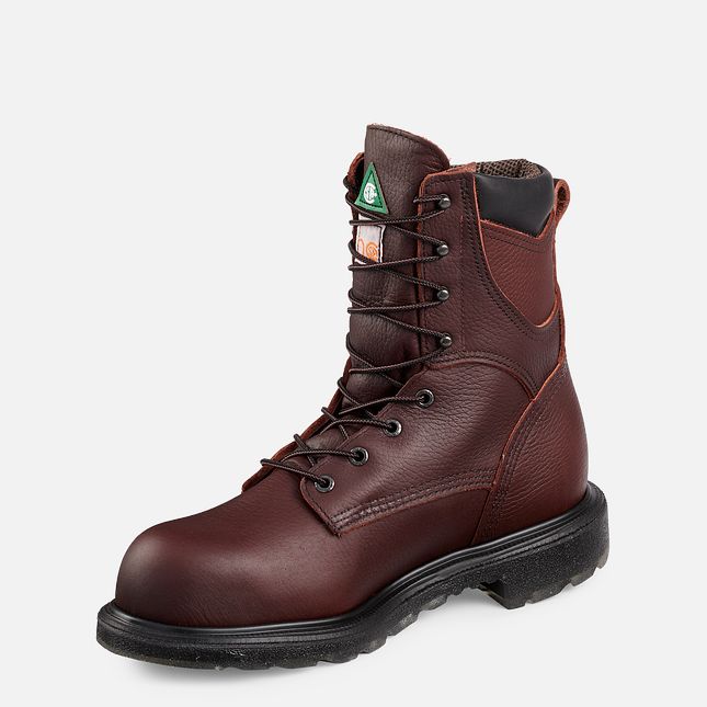 Red Wing Supersole® 2.0 8-inch Insulated CSA Vanntette Sko Herre Brune | 3528-LVIFU