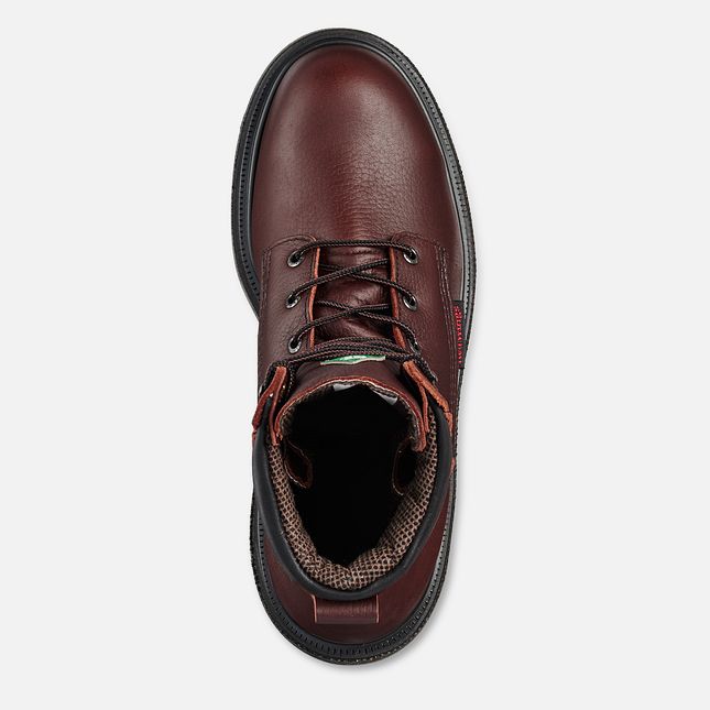 Red Wing Supersole® 2.0 8-inch Insulated CSA Vanntette Sko Herre Brune | 3528-LVIFU