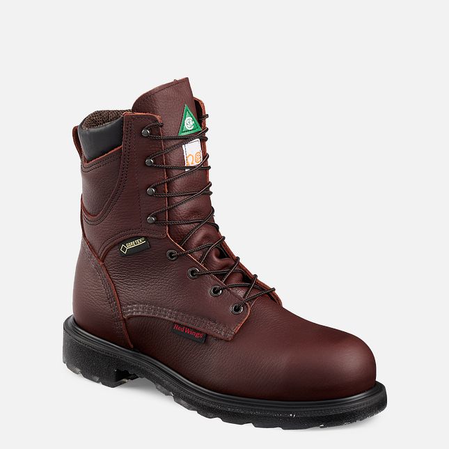 Red Wing Supersole® 2.0 8-inch Vanntette CSA Arbeidssko Herre Brune | 0265-VCPNG