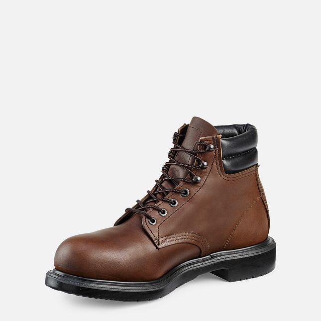 Red Wing Supersole® 6-inch Arbeidsstøvler Herre Brune | 9821-FYUNT