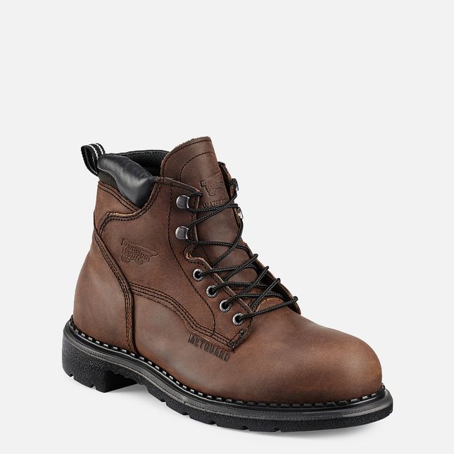 Red Wing Supersole® 6-inch Metguard Vanntette Sko Herre Brune | 1756-TCFAR