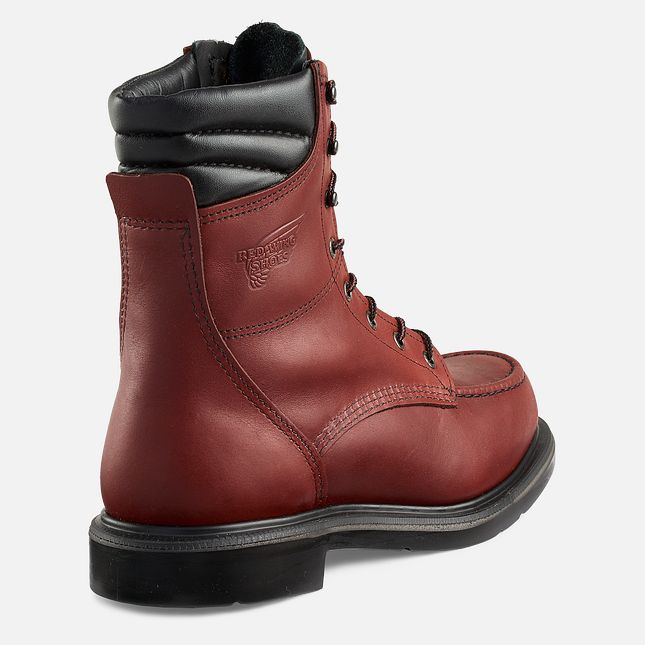 Red Wing Supersole® 8-inch Arbeidsstøvler Herre Brune | 1695-UHBKA