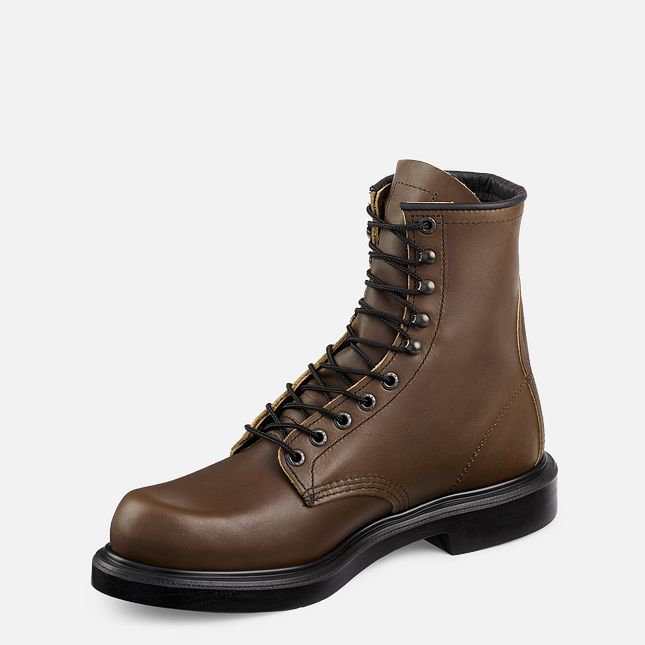 Red Wing Supersole® 8-inch Arbeidsstøvler Herre Brune | 2796-NZTSW