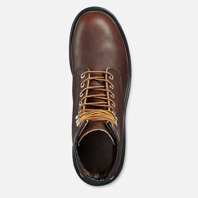 Red Wing Supersole® 8-inch Arbeidsstøvler Herre Brune | 7382-QMJLZ