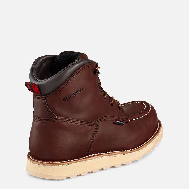 Red Wing Traction Tred 6-inch Vanntette Arbeidsstøvler Herre Brune | 1705-RDSEM