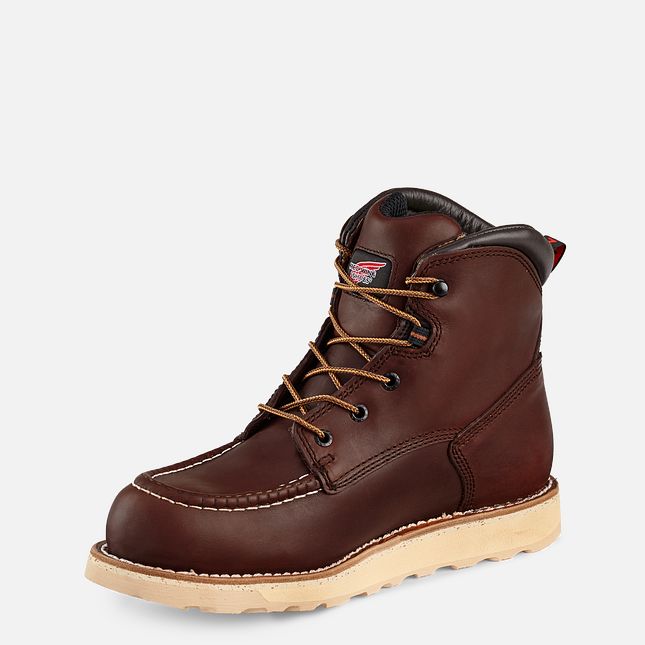 Red Wing Traction Tred 6-inch Vanntette Arbeidsstøvler Herre Brune | 1705-RDSEM