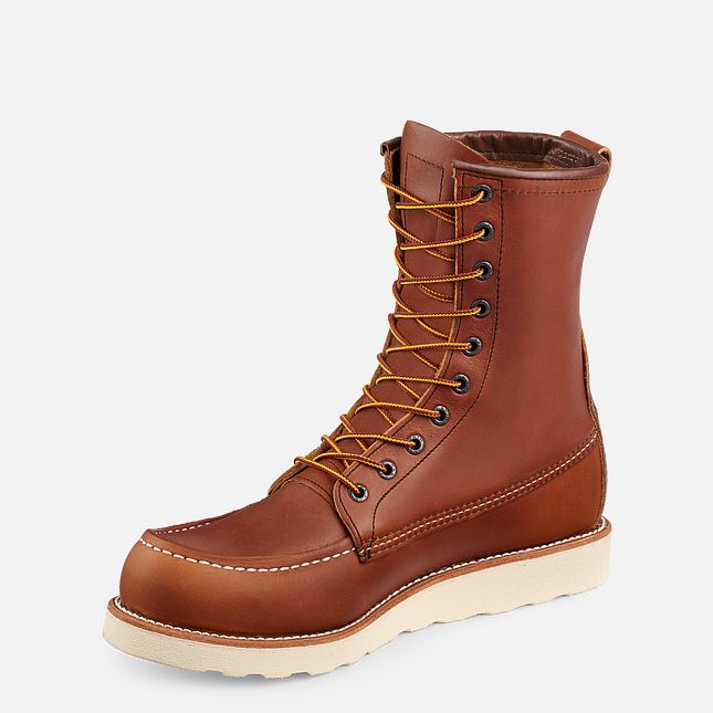 Red Wing Traction Tred 8-inch Arbeidsstøvler Herre Brune | 5086-FXERO