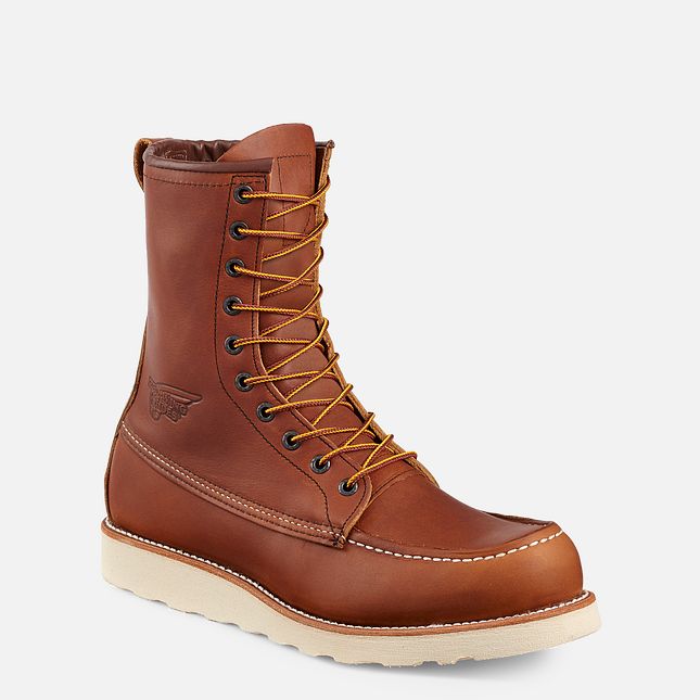 Red Wing Traction Tred 8-inch Arbeidsstøvler Herre Brune | 8631-UHLQI