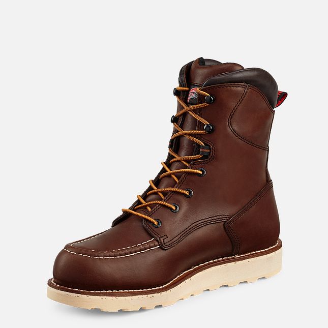 Red Wing Traction Tred 8-inch Vanntette Arbeidsstøvler Herre Brune | 1309-OGJFD